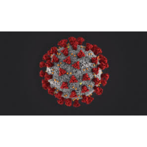 covid-virus-500-x-500-png