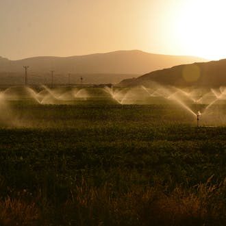 watering-field-jpeg