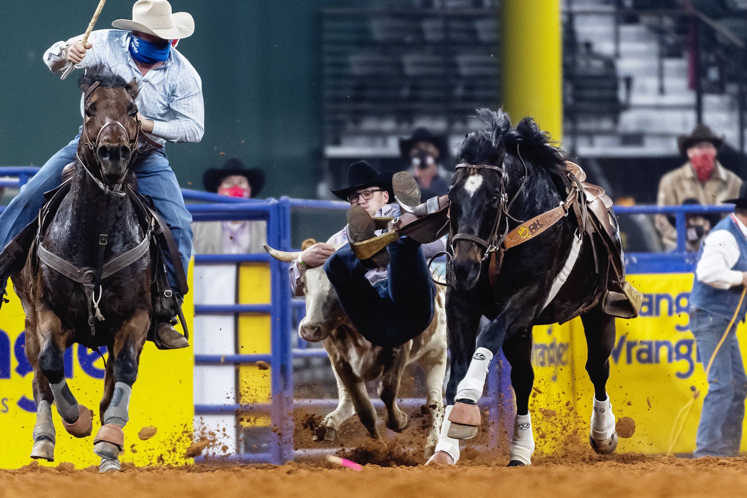 Carrington's Anderson Hitting His Stride at NFR | News Dakota