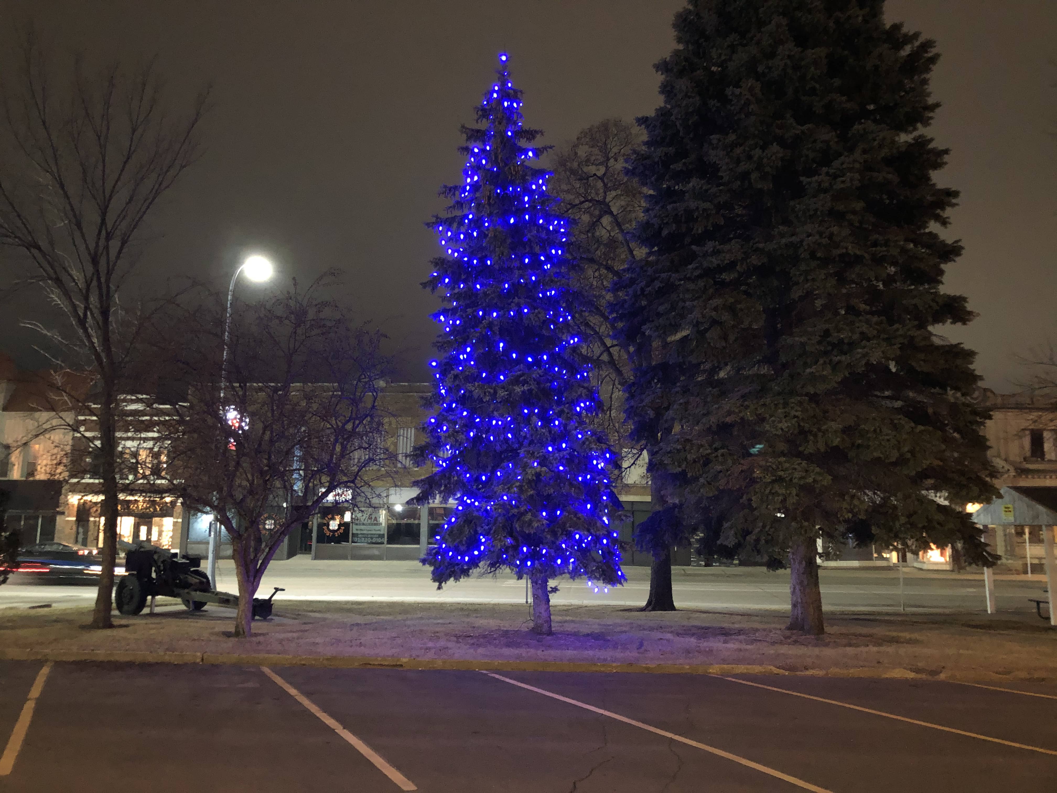 blue-tree