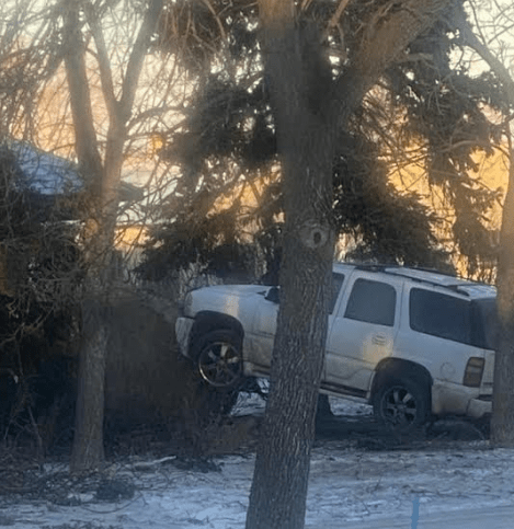 divide-county-truck-tree-toppled