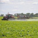 spraying-sugarbeet-field-ndsu-jpeg