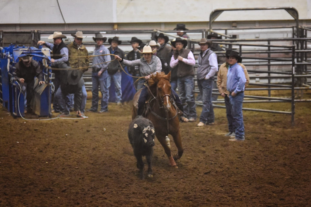 84th Annual North Dakota Winter Show March 10 -14 - Vimarsana News