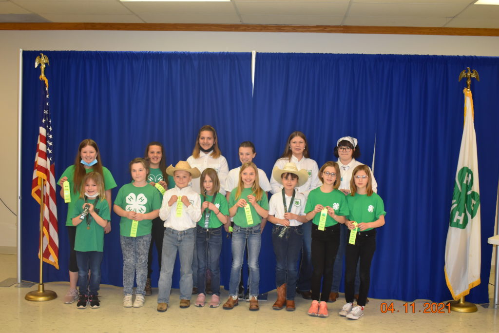 Stutsman County 4-H Clothing Revue Results - Vimarsana News