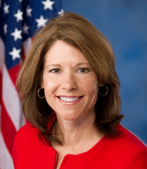 cheri-bustos-png