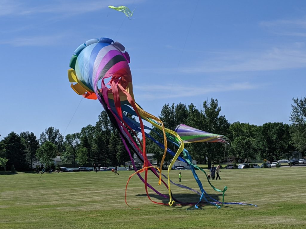 Premier Kite Festival Returns for 27th Year - Vimarsana News