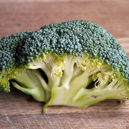 broccoli-png