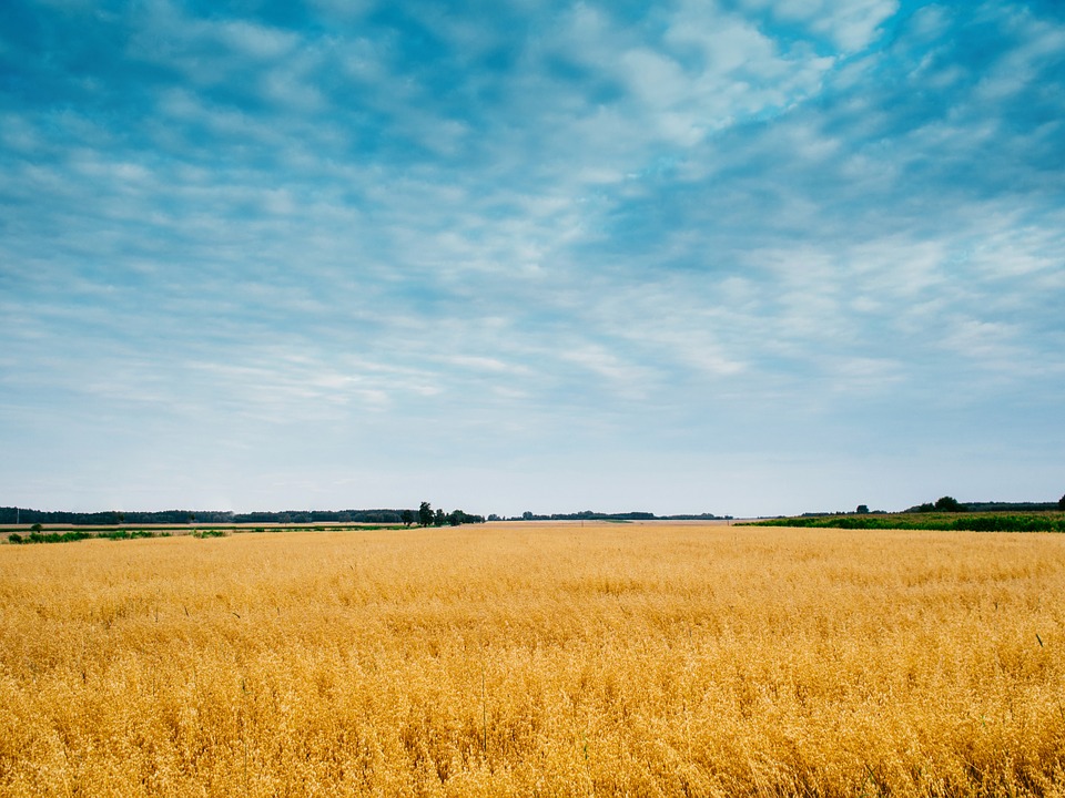 field-868978_960_720