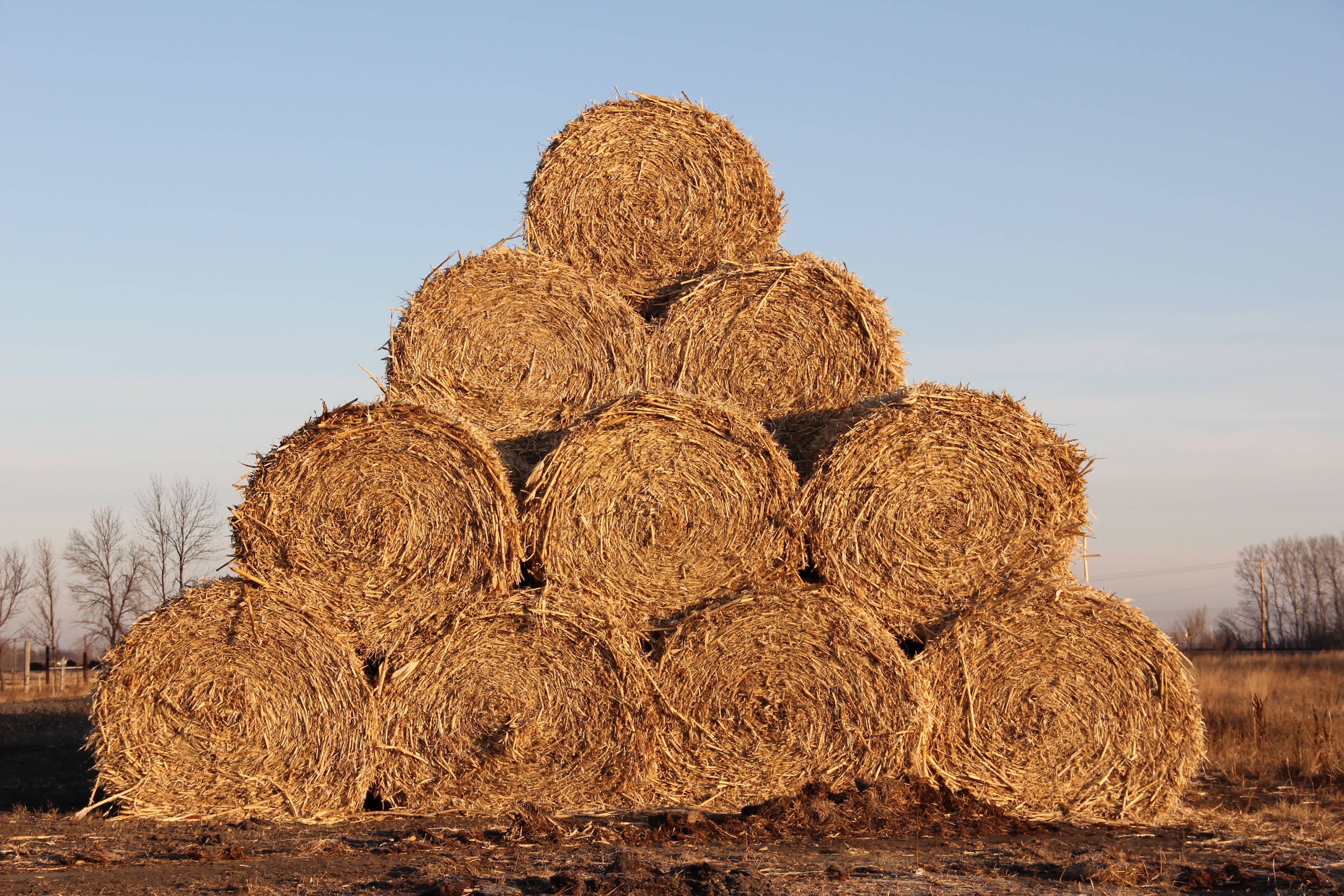 hay-bails