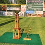 Wiffle Ball Trophy