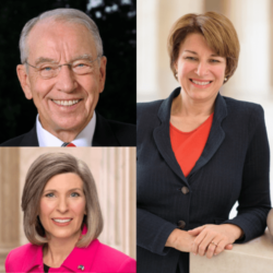 ernst-klobuchar-grassley-png