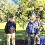 Tree Planting: The Myron Sommerfeld family donated this New Horizon Elm as a tribute to Peggy Lee, a famous singer/songwriter who originated from this area. The tree was planted by the Image and Beautification Committee of Valley City. From left to right: Myron Sommerfeld, Randy Grueneich (NDSU Extension), and James Buhr of the Image Committee.
