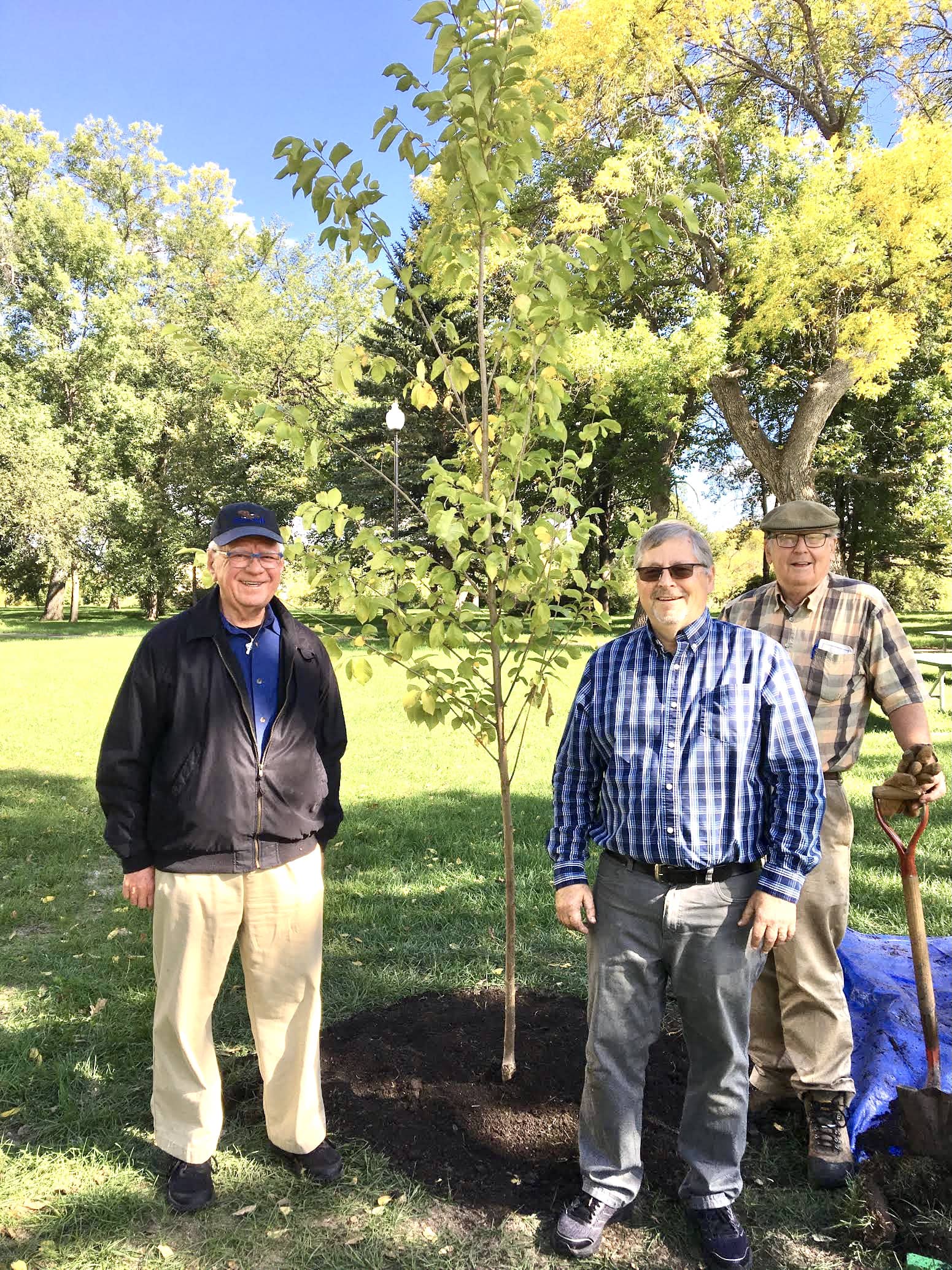 tree-planting