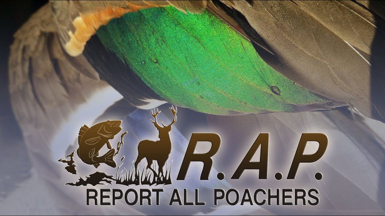 report-all-poachers-game-fish