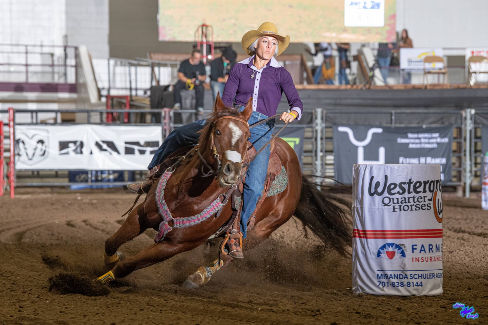 Horses for Courses, Badlands Circuit Awards Horses for Rodeo Ability