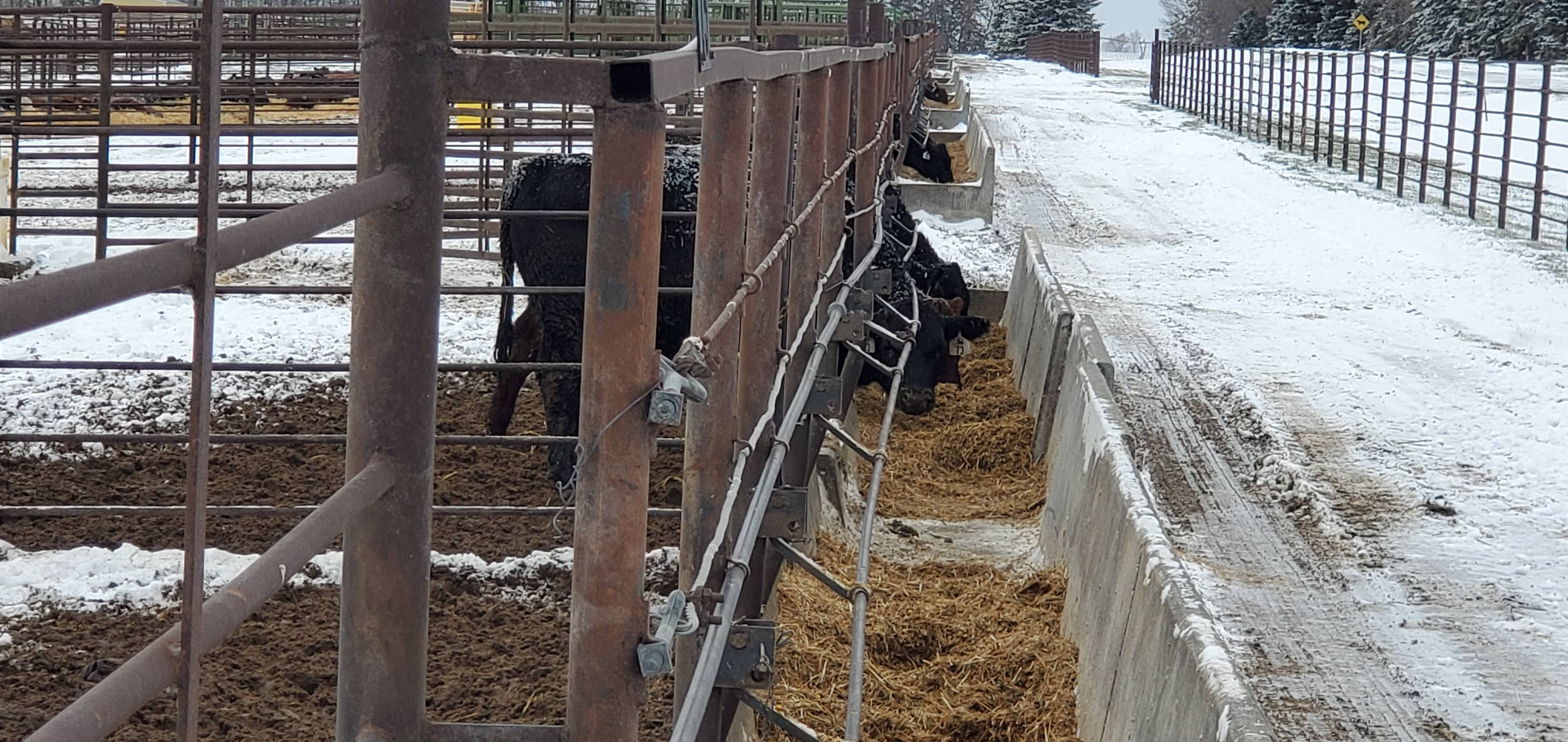 12-14-feedlot-school