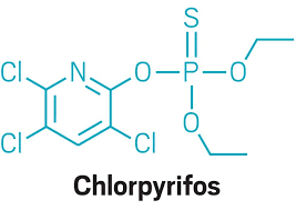 chlorpyrifos-2