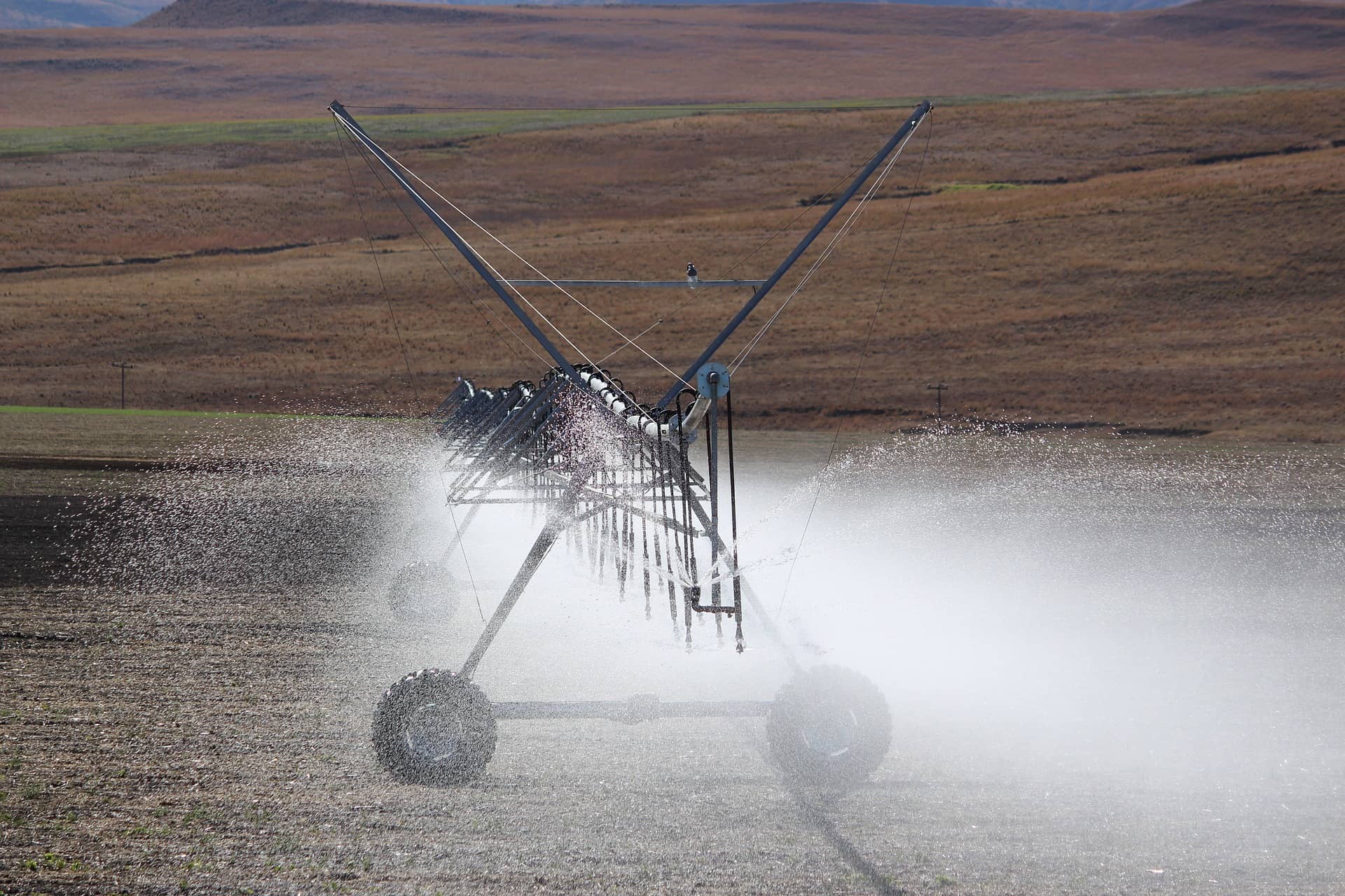 irrigation-4038805_1920