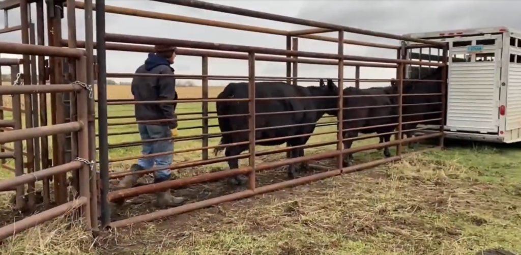 LaMoure Students Win Prize in Video Documentary Competition News Dakota