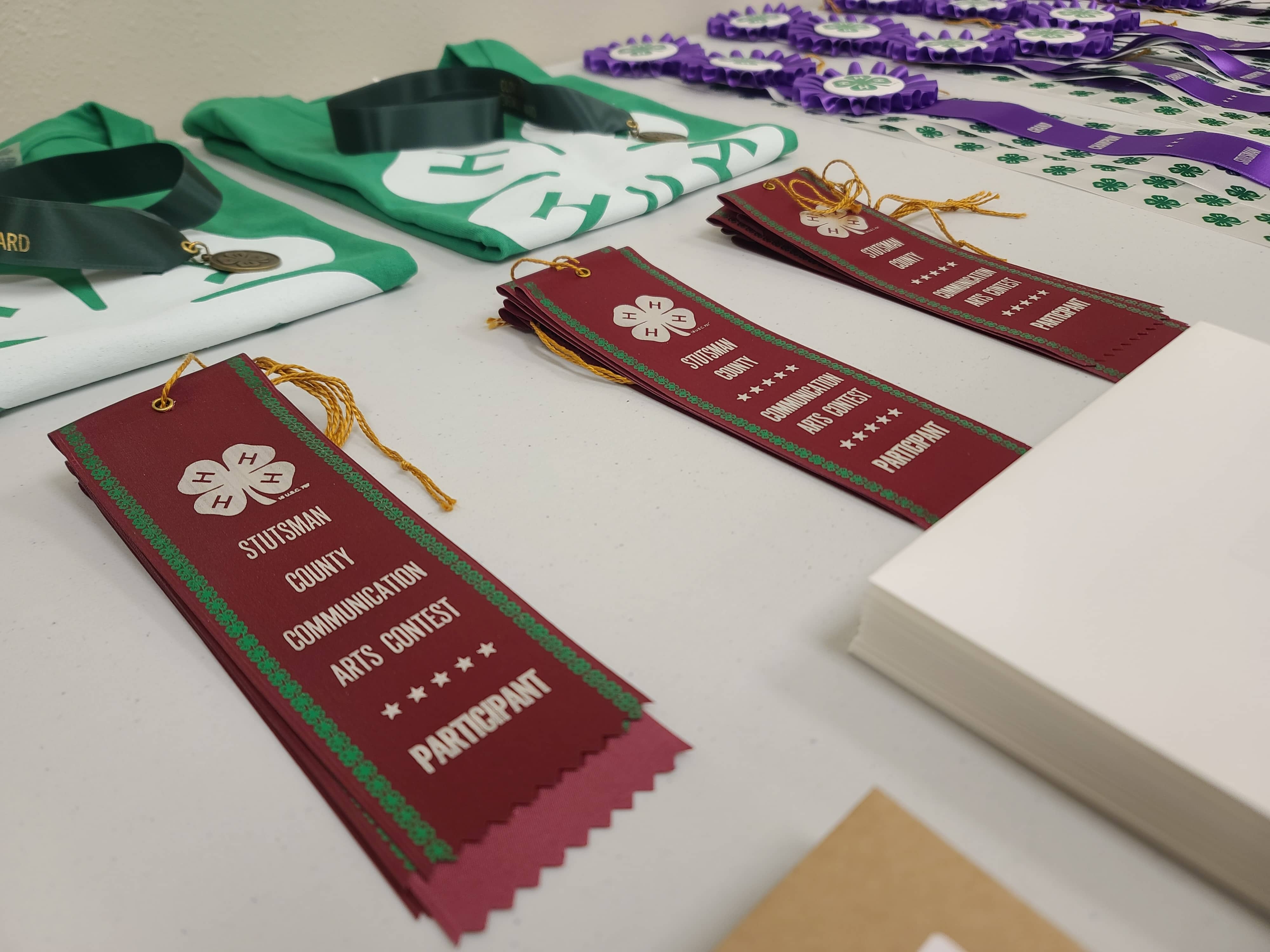 stutsman-county-4-h-communications-contest-2022