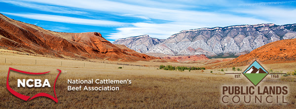 stunning-landscape-outside-of-shell-wyoming