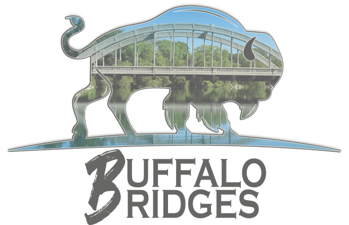 buffalo-bridges-human-service-zone