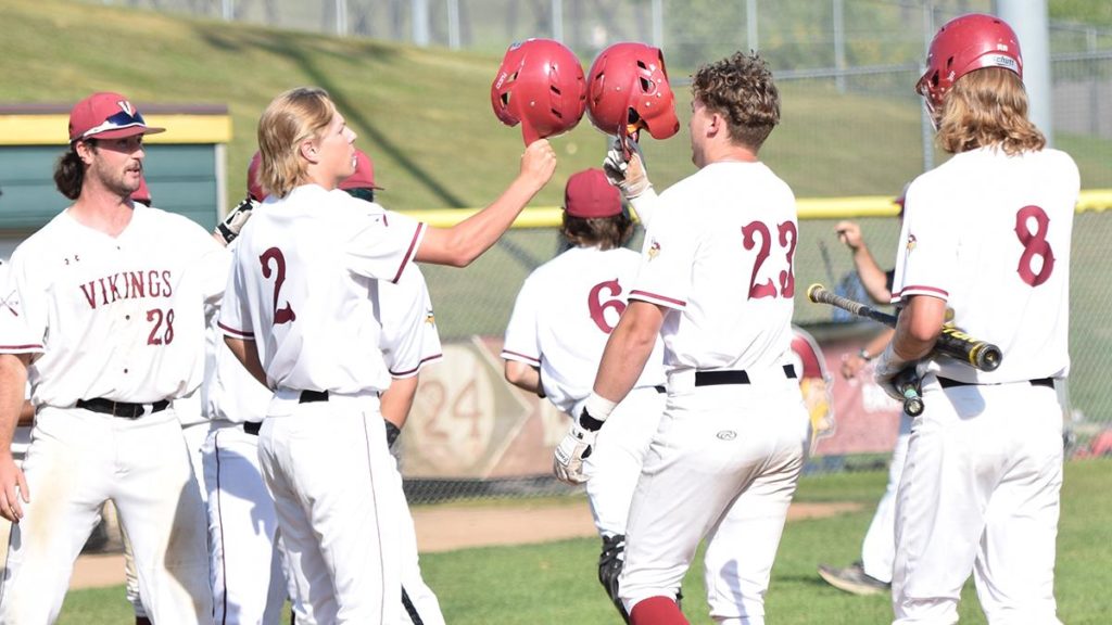 Bats Power Vikings to Series Finale Win at Dakota State - Vimarsana News