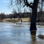 Bjornson Golf Bridge