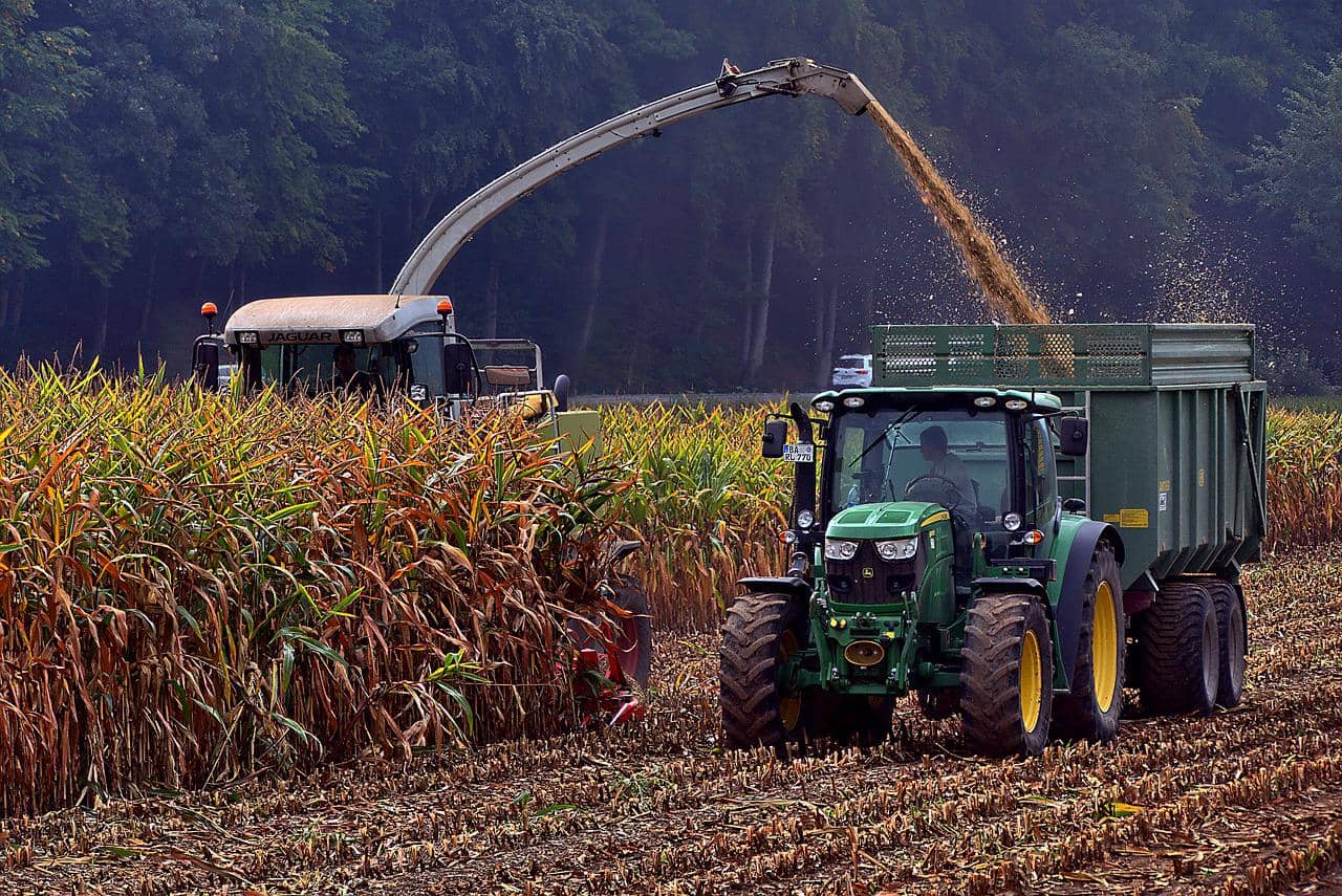 corn-harvest-5596982_1280