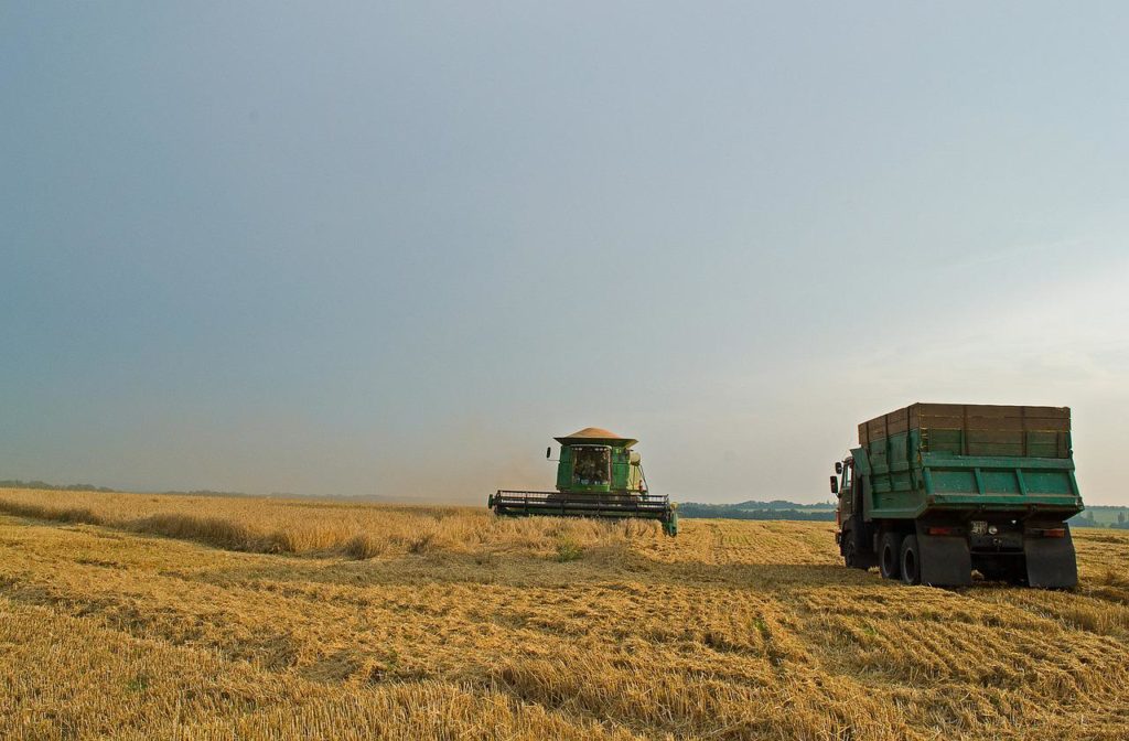 U.N. Wants Ukraine's Ports Opened for Grain Shipments - Vimarsana News