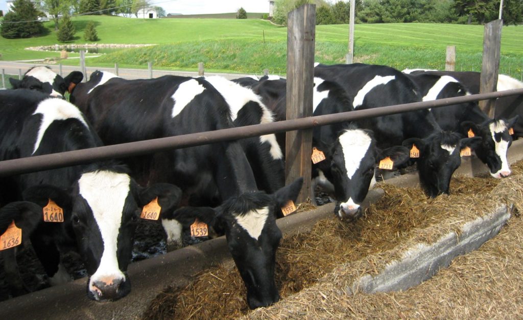 Dairy Sustainability Alliance Meeting Addresses Marketplace Opportunities - Vimarsana News