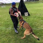 Dog training three