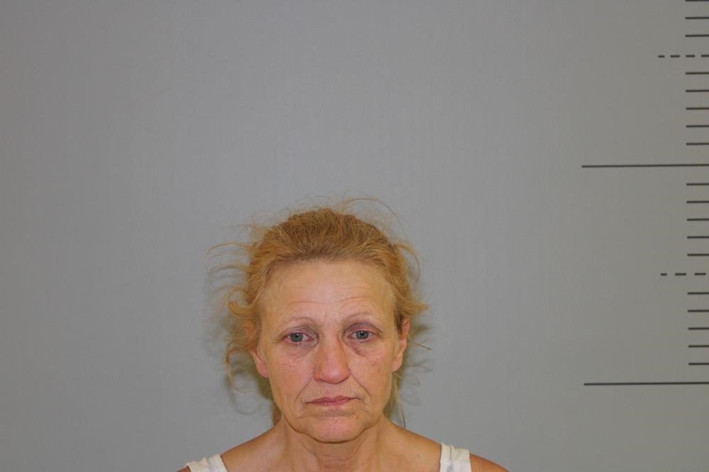 Woman Arrested After Friday Terrorizing With A Gun - Vimarsana News