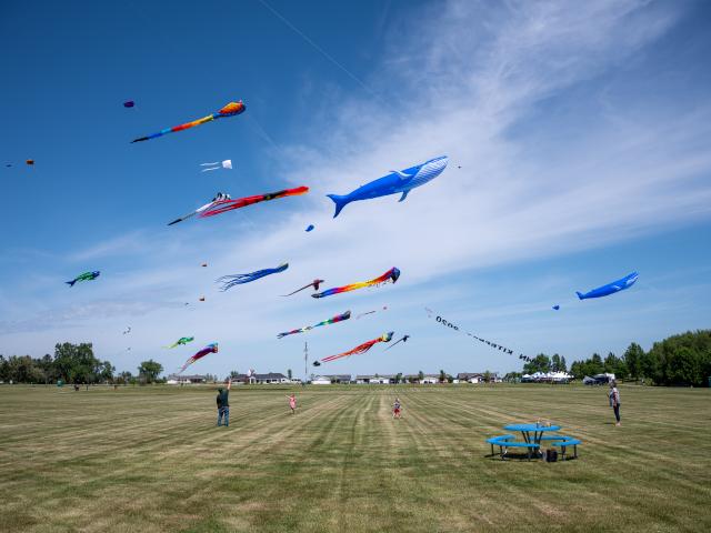 kitefest-nd-tourism