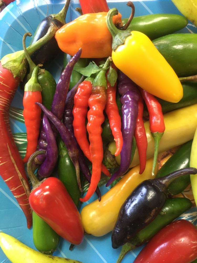 prettypeppers
