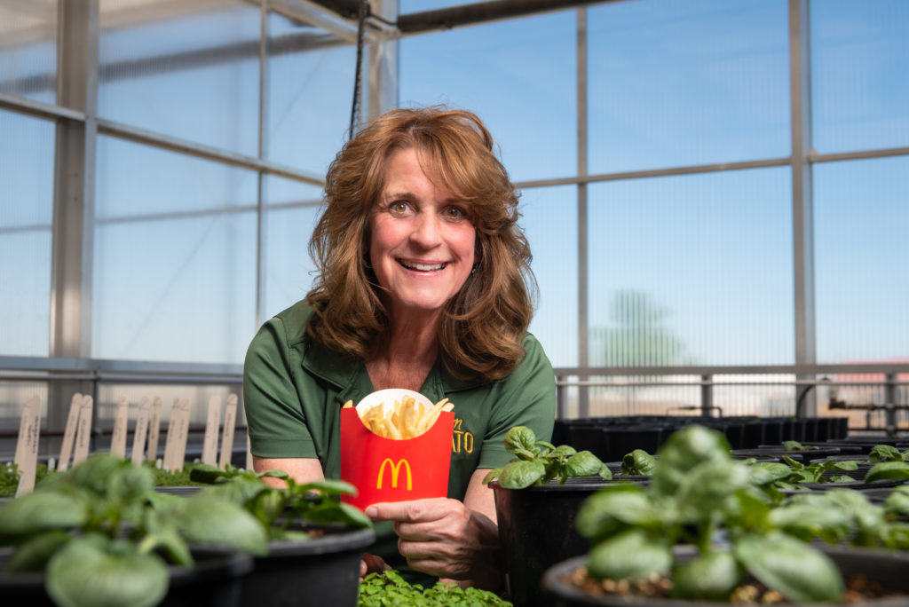 NDSU develops potato for McDonalds Fries - Vimarsana News