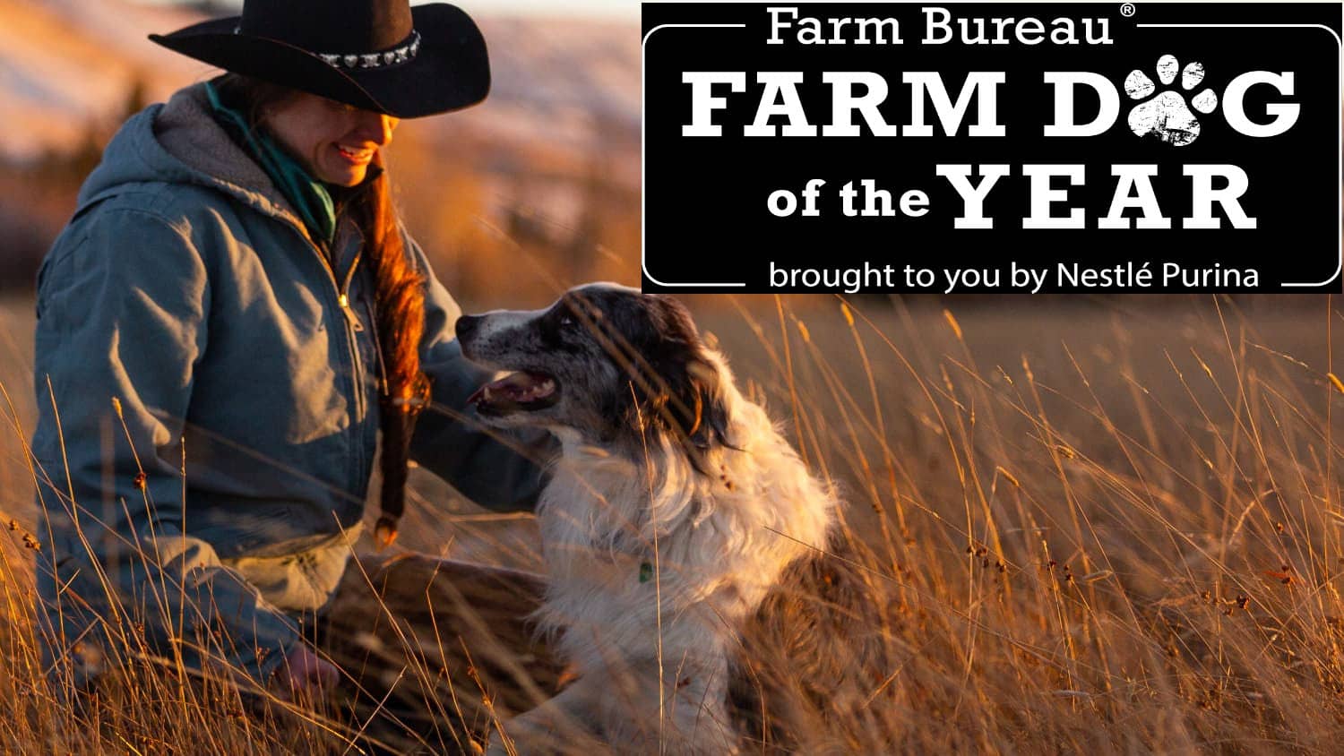 farm-bureau-farm-dog-of-the-year