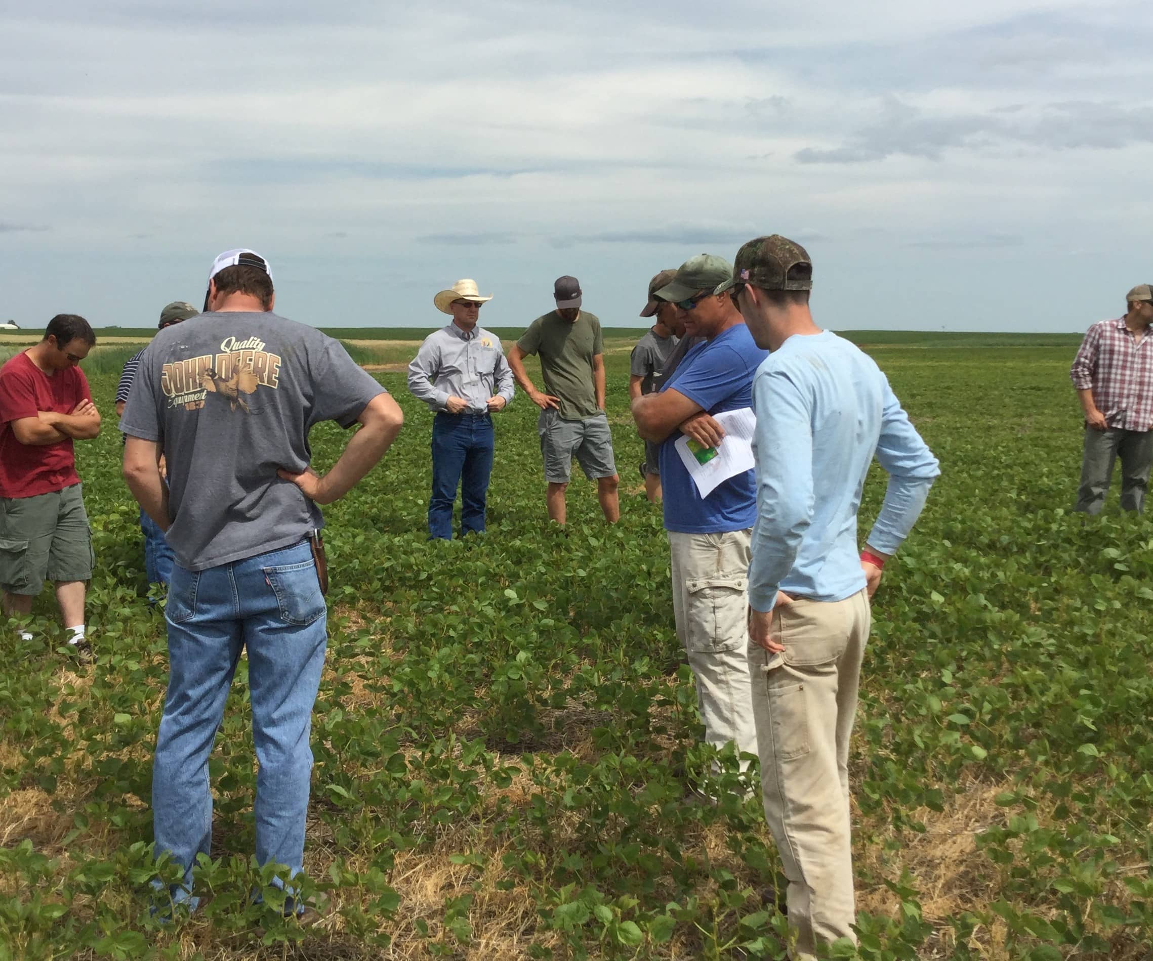 ndsu-intercropping