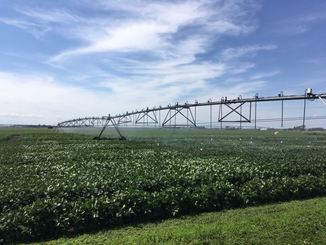 irrigation-photo-oakes