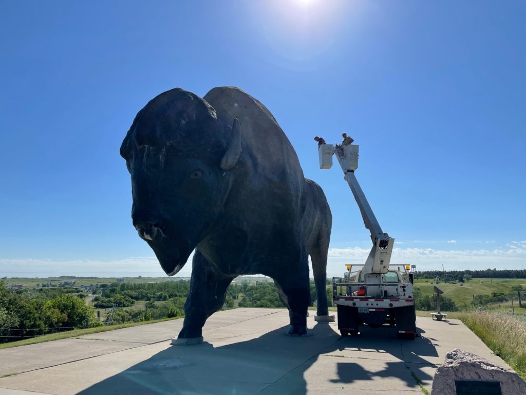 Tourism Recommends Dedicating Fund to Preserve Largest Buffalo - Vimarsana News