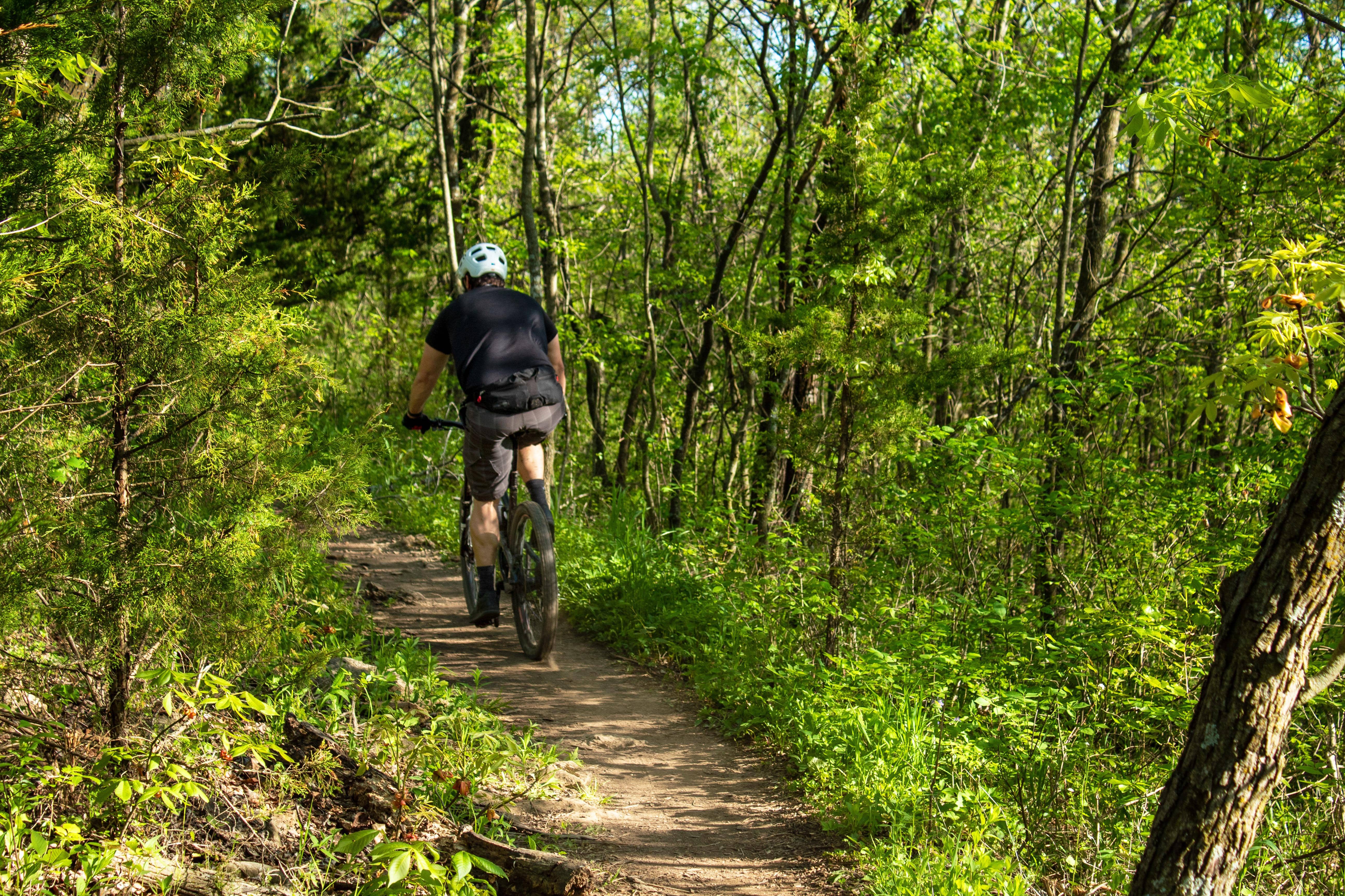 cyclist-5217020