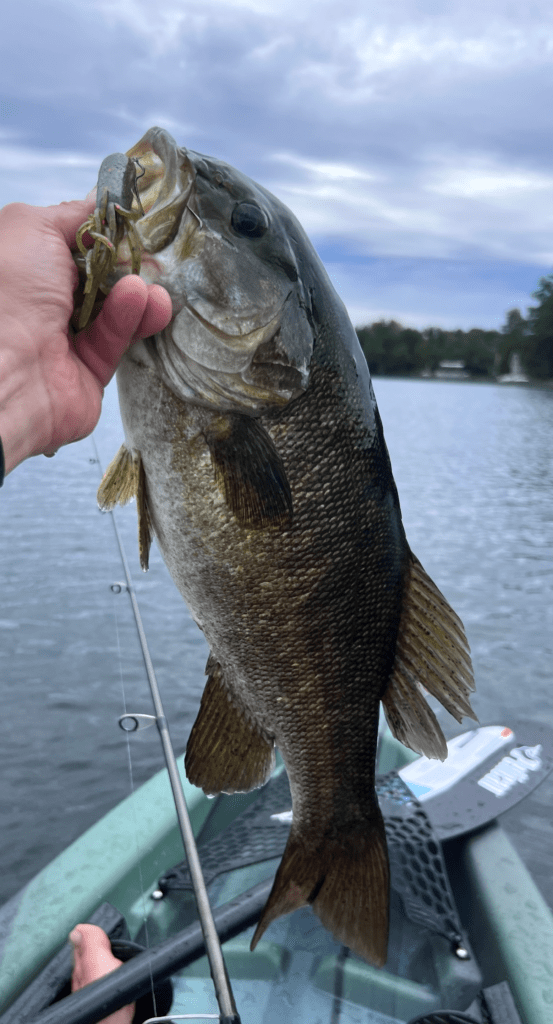 Our Outdoors: Bigger Than the Fish, But Not By Much - Vimarsana News