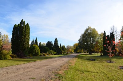 arboretum