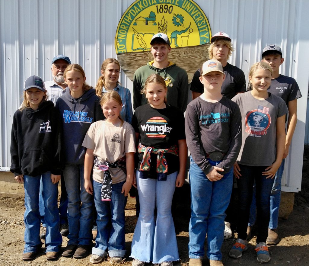 North Dakota Sheep Starter Flocks Announced - Vimarsana News