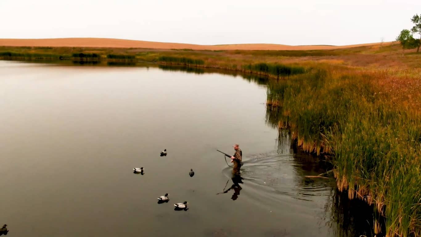 southern zone duck open time wisconsin