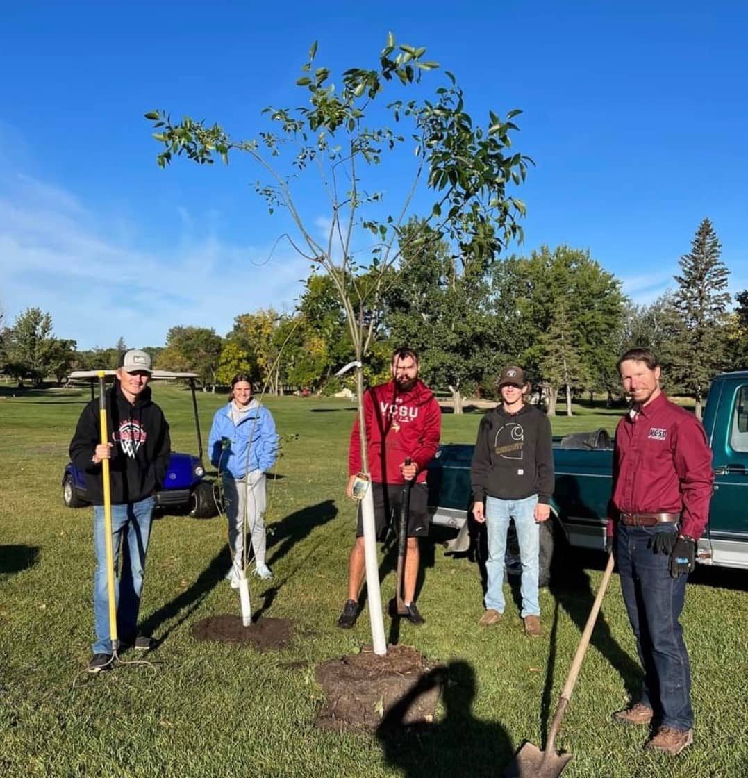 VCSU Golf Team Plants Trees In Valley City | News Dakota