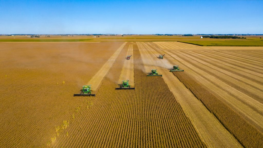 Harvest Season in Full Swing Across China - Vimarsana News