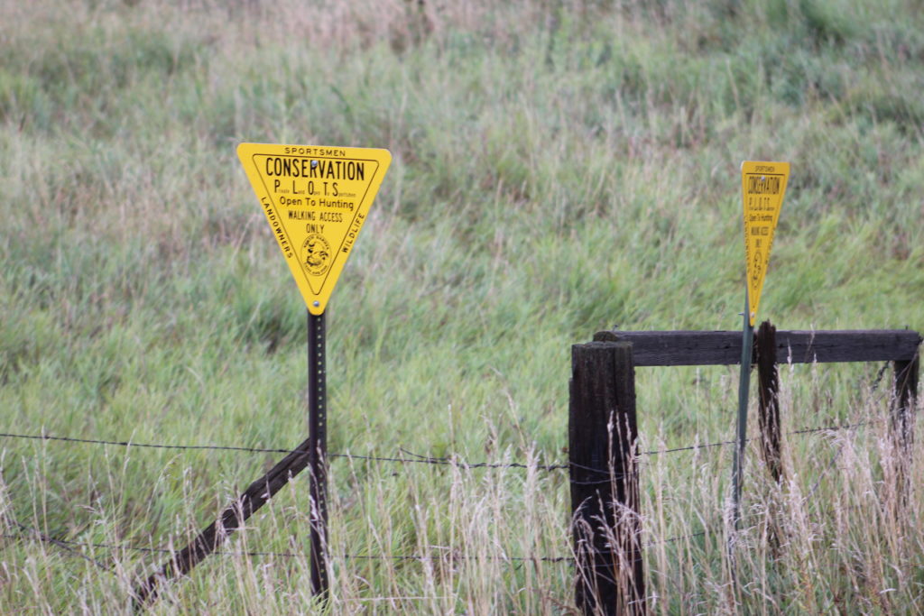 Despite Huge CRP Losses, PLOTS Hovers near 800,00 Acres - Vimarsana News