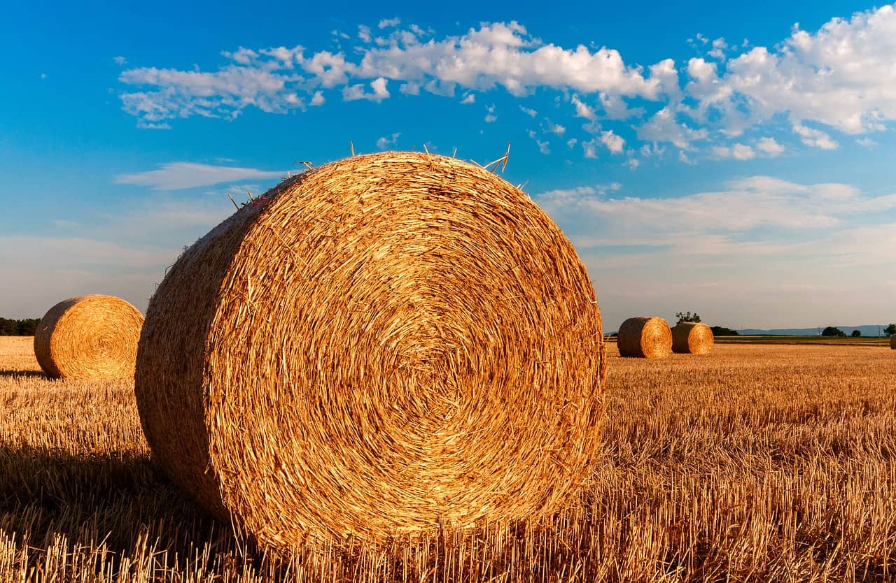 hay-bales-726976_1280