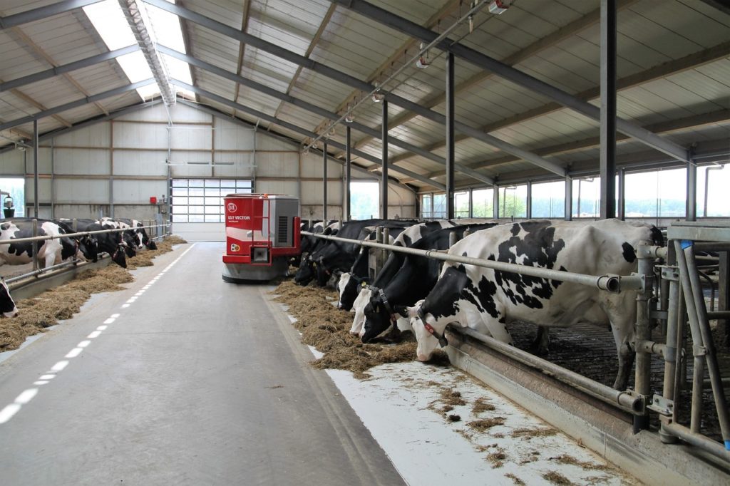 Limiting Antibiotics for Cows May Create a New Dairy Market - Vimarsana News